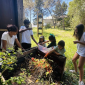 Get to know the Bilingual Curriculum Composting Project