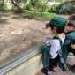 Year 1 Explorers have a fabulous day at the Lisbon Zoo!