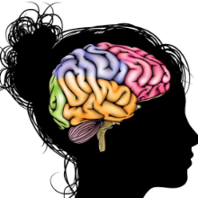 Understanding the Teenage Brain Understanding the Teenage Brain