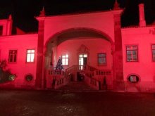 #Christmas2020 at St Julian’s #Christmas2020 at St Julian’s