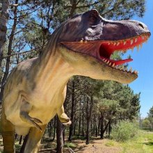 Year 3 Trip to the Dino Parque Year 3 Trip to the Dino Parque