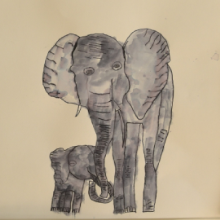 Book & Art Week Inspired Elephant Watercolours by Year 4 Book & Art Week Inspired Elephant Watercolours by Year 4