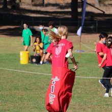The Houses competitions are back! The Houses competitions are back!