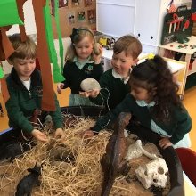 Have you seen any Dinosaurs or Minibeasts lately? Have you seen any Dinosaurs or Minibeasts lately?